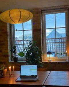 Indoor houseplants thriving in Joakim and Emilie's apartment in Aarhus, Denmark, showing real plant care results