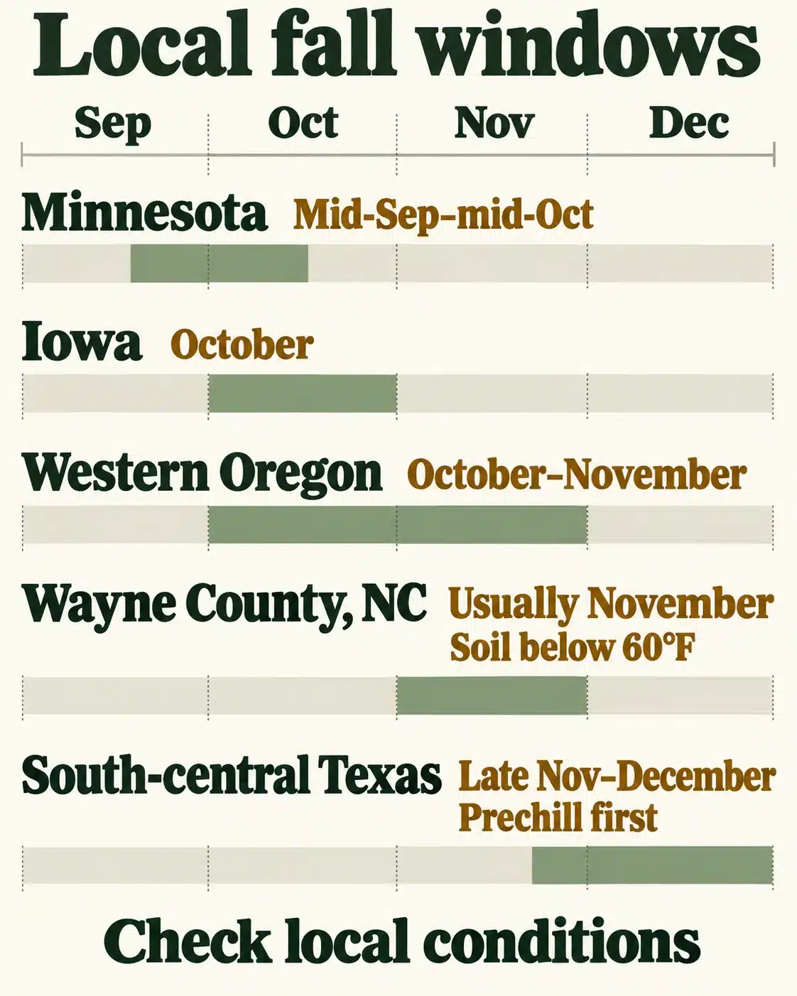 Illustrated chart of five local US tulip planting windows, from mid-September in Minnesota to late November and December in south-central Texas.